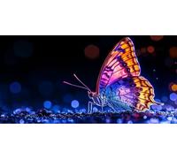 RêVe Diamond Painting Papillon Peinture Diamant Adulte Point de Croix Activité Manuelle Adulte Mosaique Loisir Creatif Peinture Diamant Diamond-Painting Enfant, pour Decoration Automne 20x40cm F - 301