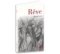 Rêve Intelligences - Martial Caroff - Terre De Brume - broché - Roman