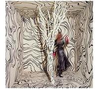 Madison Cunningham – Revealer – CD – Import (Verve Spa)