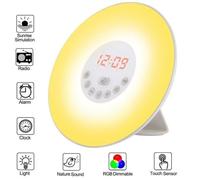 Réveil Enfant Soleil Réveil Sunrise 7 Couleurs Tactile Veilleuse LED Réveil - Alimenté par usb - Radio FM