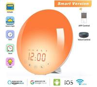 Réveil Lumineux - Simulateur d'Aube - 7 Lumières - Radio FM - Double Alarme - Fonction Snooze