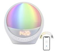 Réveil simulateur daube connecté avec commandes vocales [Auvisio]