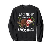Réveille-moi quand c'est Noël La paresseuse paresseuse Sweatshirt