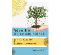 Réveille ton potentiel financier 33 clés du succès & exercices pratiques - Fabrice Moisy - Youstory Eds - broché - Guide