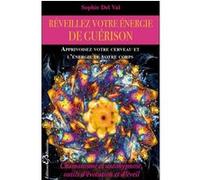 Réveillez votre énergie de guérison - Apprivoisez votre cerveau et l'énergie de votre corps