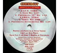 Revelation of a new order (Club Mix, 1994) / Vinyl Maxi Single [Vinyl 12'']