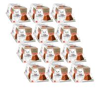 Révélations GOURMET Morceaux délicats en gelée au saumon 12x(2x57g)
