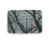 Réverbère D'Oiseau d'hiver De Noël De Dessin Animé Paillasson Intérieur Lavable en Machine Tapis De Bain Antidérapant Tapis De Douche pour Salon Couloir Baignoire 40X60Cm