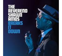 Reverend Shawn Amos,the - Breaks It Down