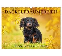 Rêveries de teckels - Petits héros à 4 pattes, Version française (Calendrier mural 2026 DIN A3 portrait), Calendrier CALVENDO mensuel