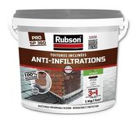 RUBSON Anti-infiltrations Toutes Toitures Gris 1kg Gris G