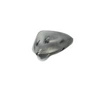 BLIC 6103-10-016352P Boitier, rétroviseur extérieur pour SEAT