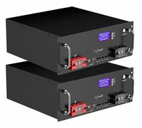 Revolt 2 batteries solaires pour montage en rack 48 V / 5,12 kWh