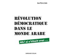 Révolution démocratique dans le monde arabe - Ah ! si c'était vrai...: Ah ! si c'était vrai...