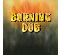 Revolutionaries – Burning Dub – Vinyle LP 12" 180 g