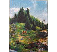 Revue Reliefs - n°20 Deltas