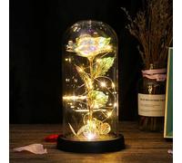 REWIAR Rose Eternelle sous Cloche Cadeau Femme - Rose eternelle avec Lumière LED - Saint Valentin Rose Galaxie de Lumineuses pour Elle, Fête des mères, Noël et Un Anniversaire (Couleur)