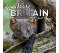 Rewilding Britain Calendrier mural carré 2026 16 mois, photographie de la faune, planificateur mensuel avec jours fériés britanniques