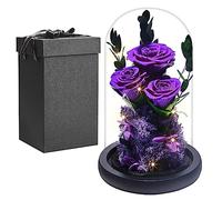 Rewjury Vrai Rose Eternelle sous Cloche, Femmes Cadeau Anniversaire, Belle Et la Bete Préservée Rose Fleur, Rose sous DôMe, Saint Valentin Fête des Mères Cadeau pour Mère Mamie Petite Amie Femme