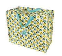 Rex London - Sac de rangement solide et durable avec fermeture Éclair - 55 x 48 x 28 cm - volume 70 l - plusieurs motifs au choix , Love Birds, 55 cm x 48 cm x 28 cm