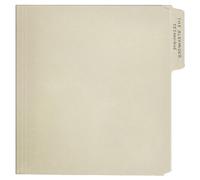 REX ORANGE COUNTY - THE ALEXANDER TECHNIQUE 2 VINYL LP NEUF