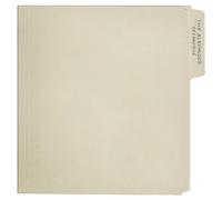 Rex Orange County The Alexander Technique (Vinyl)