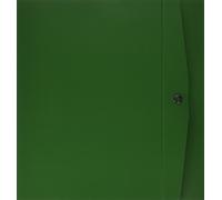 Rexel 00023714 Project 8 Boîte d'archivage dorsal, 8 cm, vert