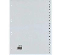 Rexel 25262481 Intercalaire Gris