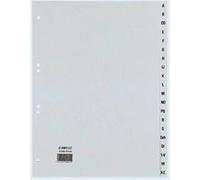 Rexel 25262481 intercalaire gris 4013702000526 G