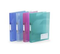 REXEL Classeur à anneaux ICE Standard, mécanisme de fermeture à 2 anneaux, assorti DIN A4, largeur du dos : 25 mm, en PP, avec poche arrière et