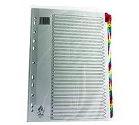 Rexel Mylar Intercalaires en Plastique Renforcés Multicolores 1-31 - A4 (Blanc)