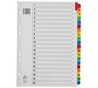 Rexel Mylar Intercalaires en Plastique Renforcés Sections 1 - 20 - A4 - 210x297 mm (Blanc)