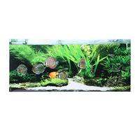 REXVTNS Aquarium Background Sticker | Seabed Fish & Water Plants PVC Poster | Easy - Adhesive Decoration for Fish Enclosures | 4 Sizes (61x30cm to 122x50cm) | & Colorfast (61 * 30cm)
