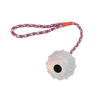 REXVTNS Rubber Dog Chewing Ball with Rope | Puppy Teething & Training Toy for Small/Medium Dogs | Safe Chew Ball with Nylon Rope | Food Holder & Teeth Care