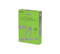 Rey Adagio - Lisse - 104 micromètres - vert intense - A4 (210 x 297 mm) - 80 g/m² - 500 feuille(s) ramette - papier pour reprographie (pack de 5) G