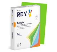 REY® ADAGIO, papier reprographique, vert intense, 80g, A4, PEFC™, ramette de 500 feuilles