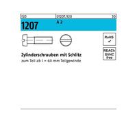 Reyher ISO 1207 m.Schlitz