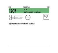 Reyher ISO 1207 m.Schlitz