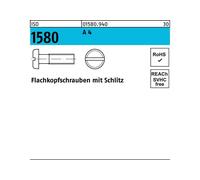 Reyher ISO 1580 m.Schlitz
