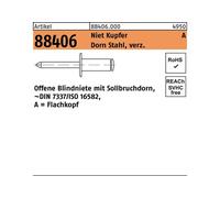 Reyher Rivet POP R 88406 Flachkopf