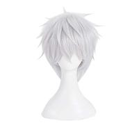 REYHS Perruque d'anime Accélérateur Cosplay Perruque pour Toaru Majutsu sans index, perruque courte argentée blanche, perruque costume d'Halloween, pour fête costumée, spectacle d'anime, événement