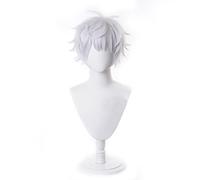 REYHS Perruque de cosplay Gojo Satoru pour Jujutsu Kaisen, perruque argentée courte, costume d'Halloween, pour Halloween, fête costumée, spectacle d'anime, événement cosplay, concerts, perruque