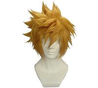 REYHS Perruque Ventus Cosplay Perruque pour Kingdom Hearts, perruque courte marron doré, perruque pour costume d'Halloween, fête costumée, spectacle d'anime, concerts, quotidien, perruque