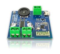 Reykentu Module audio Bluetooth Bluetooth 4.2 5 W x 2 module portable multifonction stéréo double canal sans pertes de puissance de faible puissance