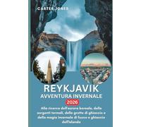 REYKJAVIK AVVENTURA INVERNALE 2026: Alla ricerca dell'aurora boreale, delle sorgenti termali, delle grotte di ghiaccio e della magia invernale di fuoco e ghiaccio dell'Islanda