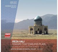 Reza Vali - Toward that Endless Plain