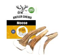 RF-Deer Bois d’Élan Geweih Taille XXL Hard - 0,5 kg - Chaque pièce Environ 17 cm - Snack Naturel pour Chiens, Jouet Sain, Soin des Dents et Croissance