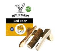 RF-DEER Bois de Cerf élaphe, Premium Soft XL, 19-21 cm (151-190 g), Cornes de Cerf et pour Chiot et Chien, 100% Naturel Bâtonnets