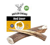 RF-Deer - Bois de Cerf Jouet Chien Interieur, Stick de Cerf, Os a Macher, Produit Naturel, Dog Treats Toy, Haute Durabilitè - Jouet pour Chien Qui S'ennuie 100g L Hard