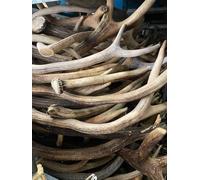 RF - Deer Bois de cerf Naturel 1 kg (Différents 20-30 cm, 4-8 pièces) - Éléments de décoration Artistique Uniques Bois de cerf écologique Parfait Jouets pour Chiens Corne de cerf pour Chien Os Macher